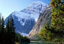 NBA即时比分直播网该怎么选？这些要点帮你找到靠谱平台